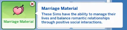 MARRIAGE MATERIAL TRAIT - DOWNLOAD